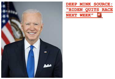 BIDEN QUITS RACE! Thanks to our high-ranking White House source, Deep Mink was the world’s first news site to report president Biden’s historic decision to quit the race this summer! That was weeks before any other publication — and at a time when the entire Biden administration, mainstream media and Democratic Party falsely claimed that our generation’s version of Baghdad Bob would continue his disastrous presidential campaign, allegedly in a play to build support for Kamala Harris. Proof here in archived version of DeepMink.com’s scoop from July 1. Remember you can also send us your exclusive stories in the form below — we will never unveil your identity unless required by law 🚨